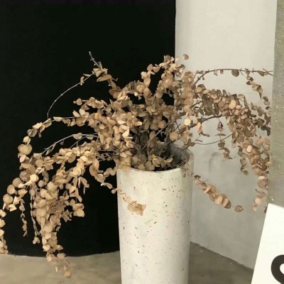 兽设细节刻画技巧FurryQQ群